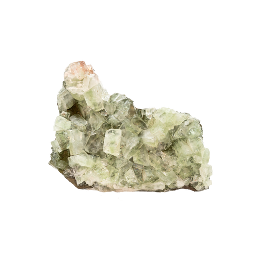 Green Apophyllite
