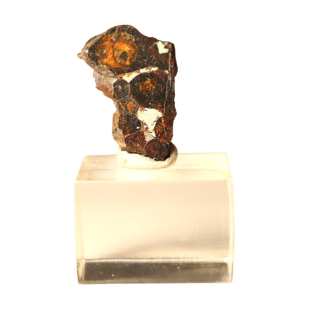 Sericho Pallasite Meteorite