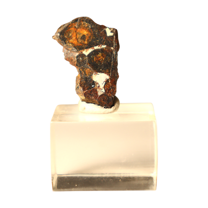 Sericho Pallasite Meteorite