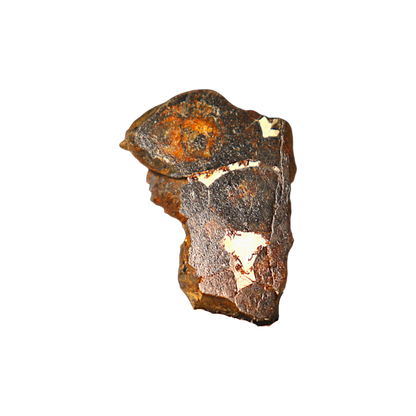 Sericho Pallasite Meteorite
