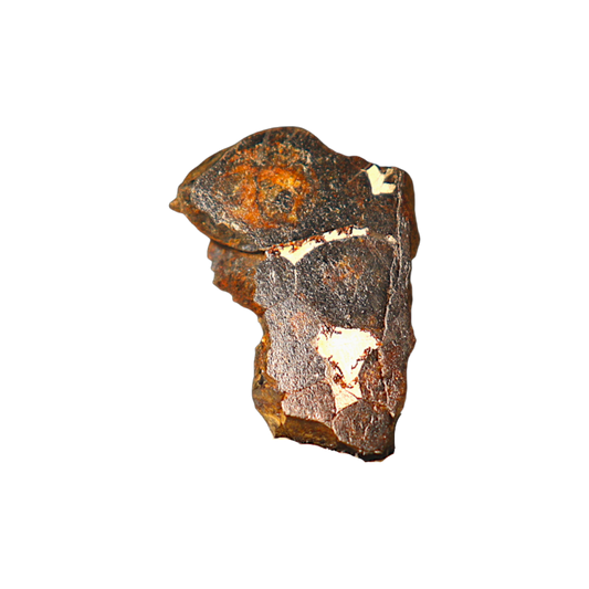 Sericho Pallasite Meteorite