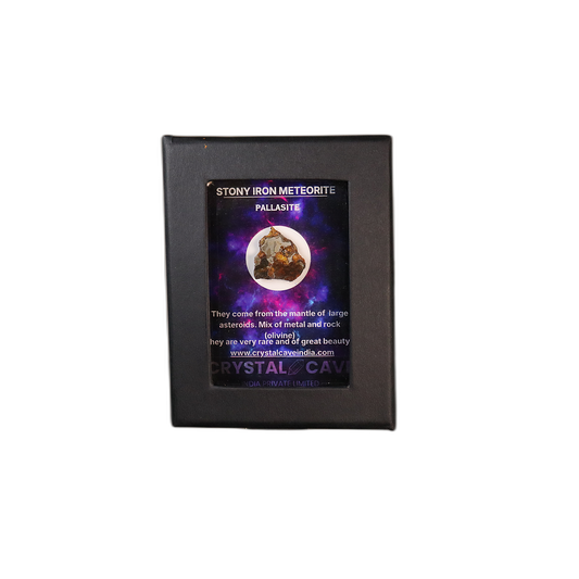 Sericho Pallasite Meteorite