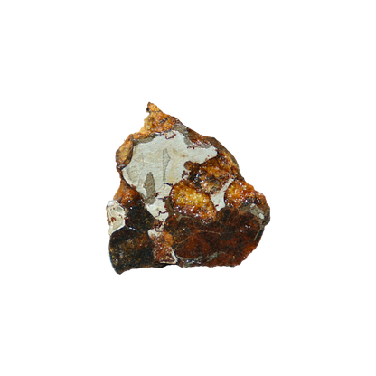 Sericho Pallasite Meteorite