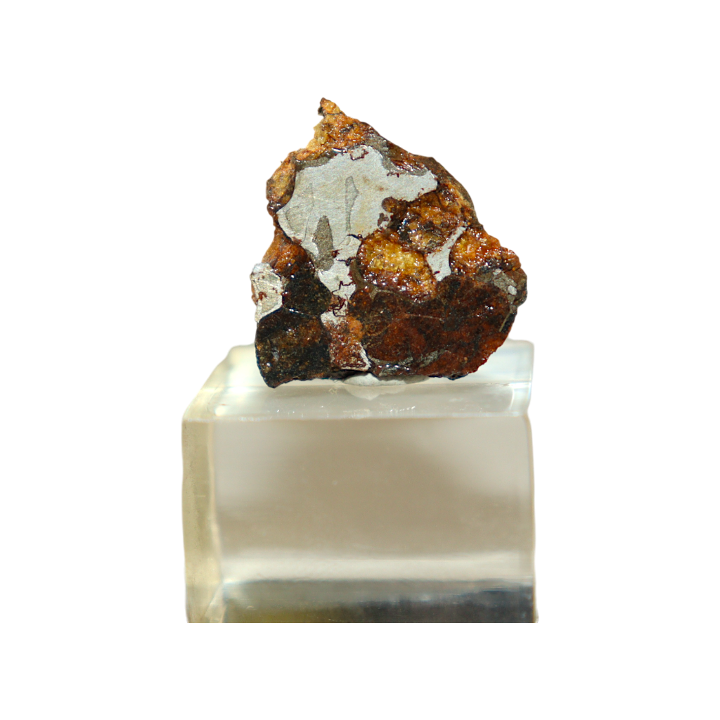 Sericho Pallasite Meteorite