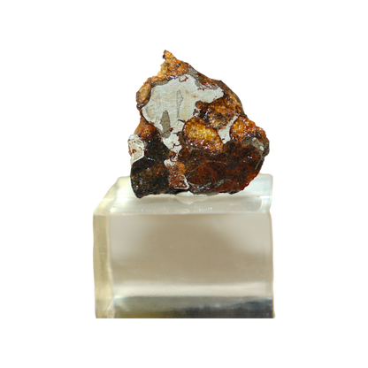 Sericho Pallasite Meteorite