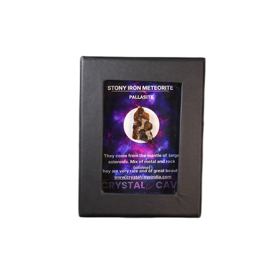 Sericho Pallasite Meteorite