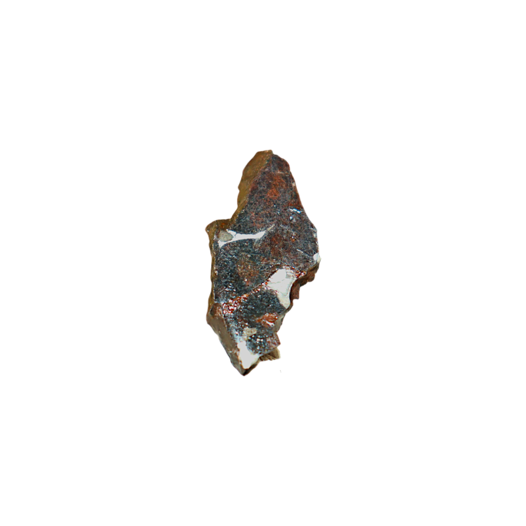 Sericho Pallasite Meteorite