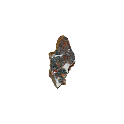 Sericho Pallasite Meteorite