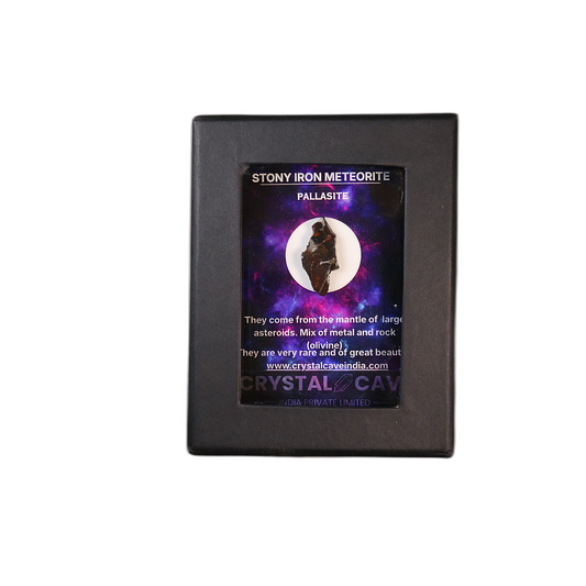 Sericho Pallasite Meteorite