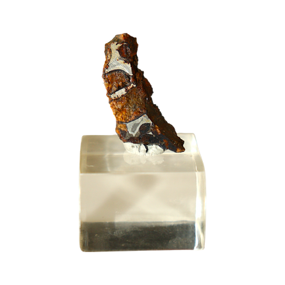 Sericho Pallasite Meteorite