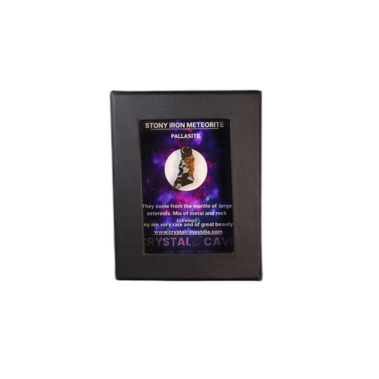 Sericho Pallasite Meteorite