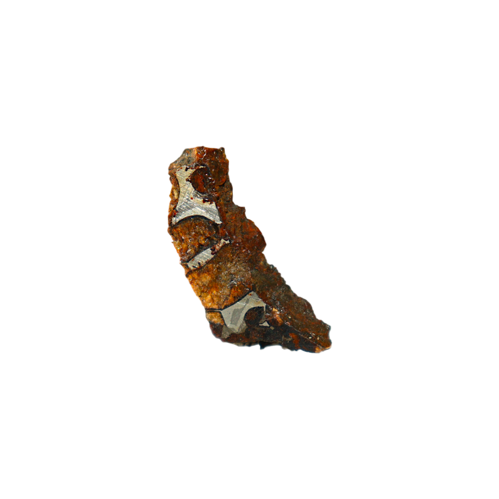 Sericho Pallasite Meteorite