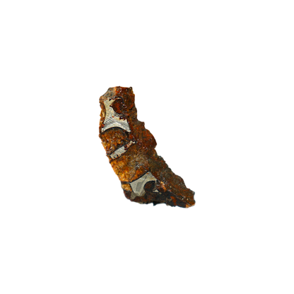 Sericho Pallasite Meteorite
