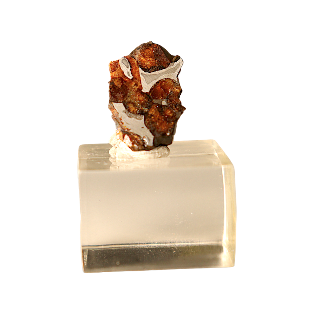 Sericho Pallasite Meteorite