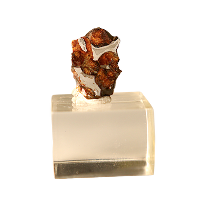 Sericho Pallasite Meteorite