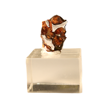 Sericho Pallasite Meteorite