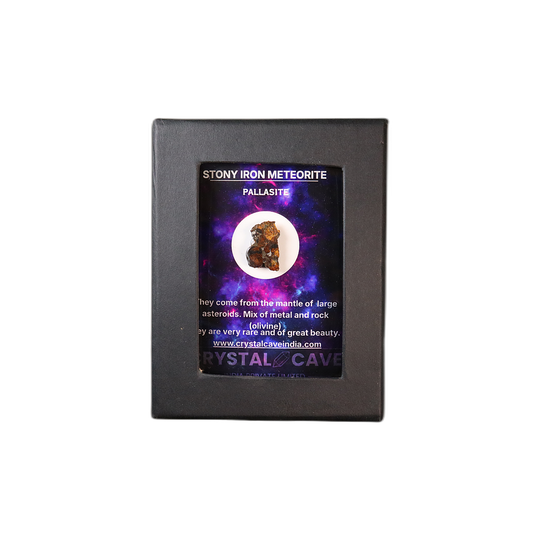 Sericho Pallasite Meteorite