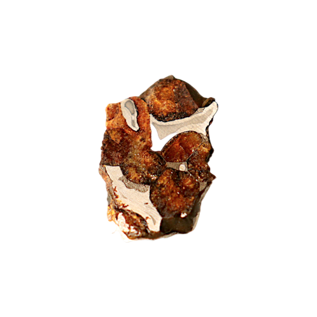 Sericho Pallasite Meteorite