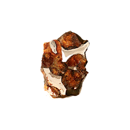 Sericho Pallasite Meteorite