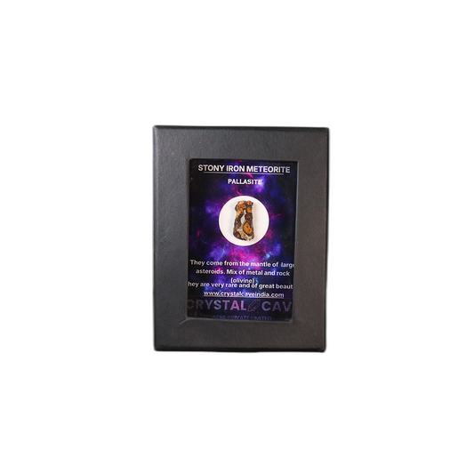 Sericho Pallasite Meteorite