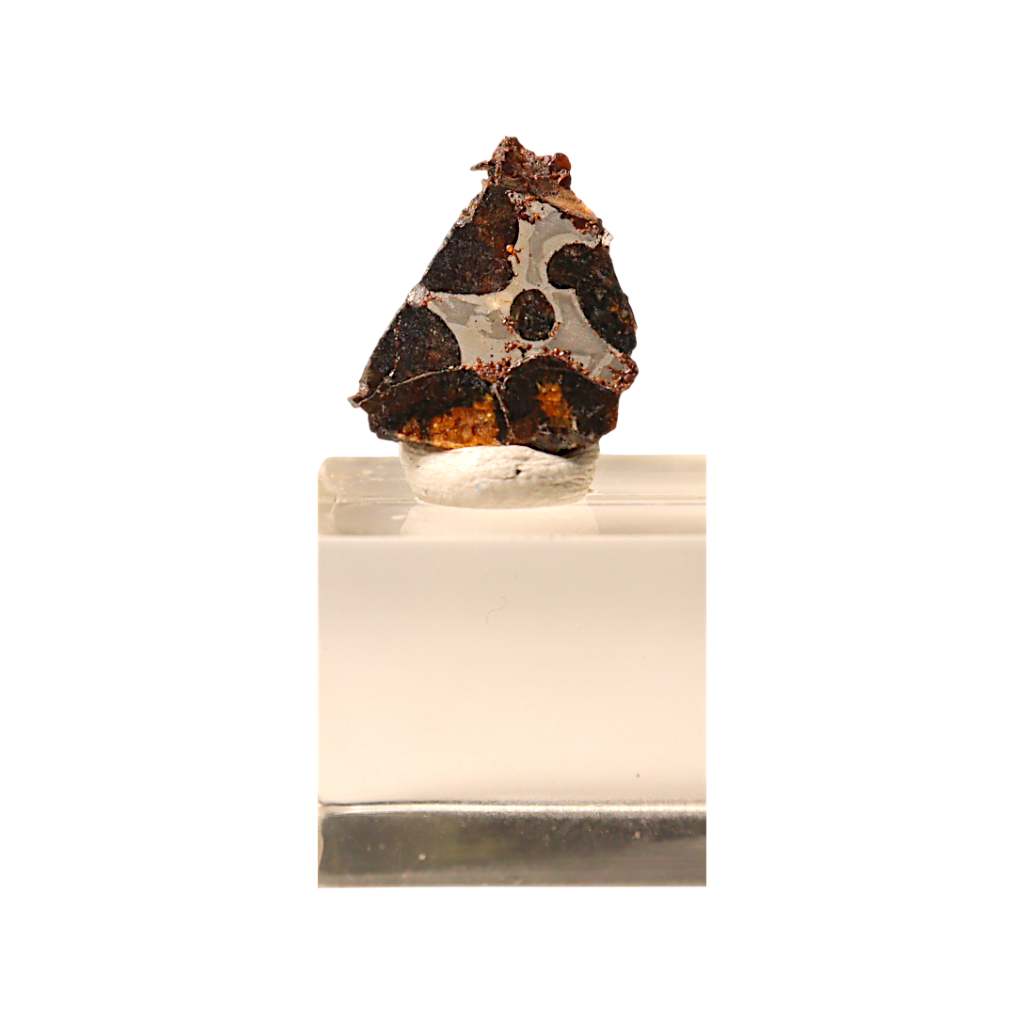 Sericho Pallasite Meteorite