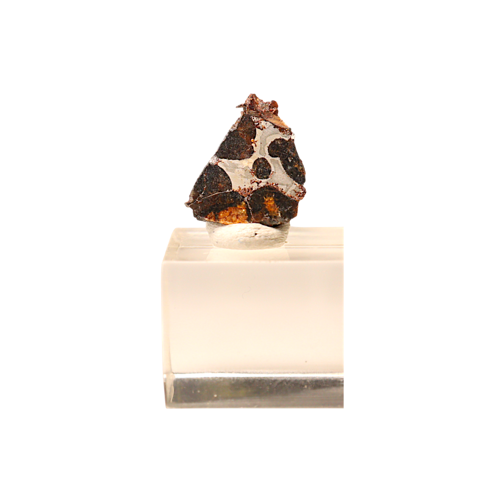 Sericho Pallasite Meteorite