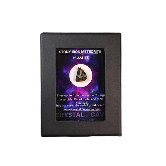 Sericho Pallasite Meteorite