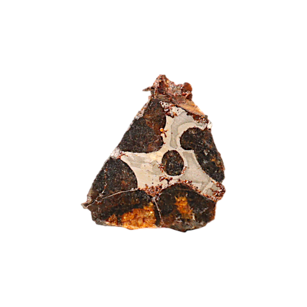 Sericho Pallasite Meteorite