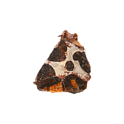 Sericho Pallasite Meteorite