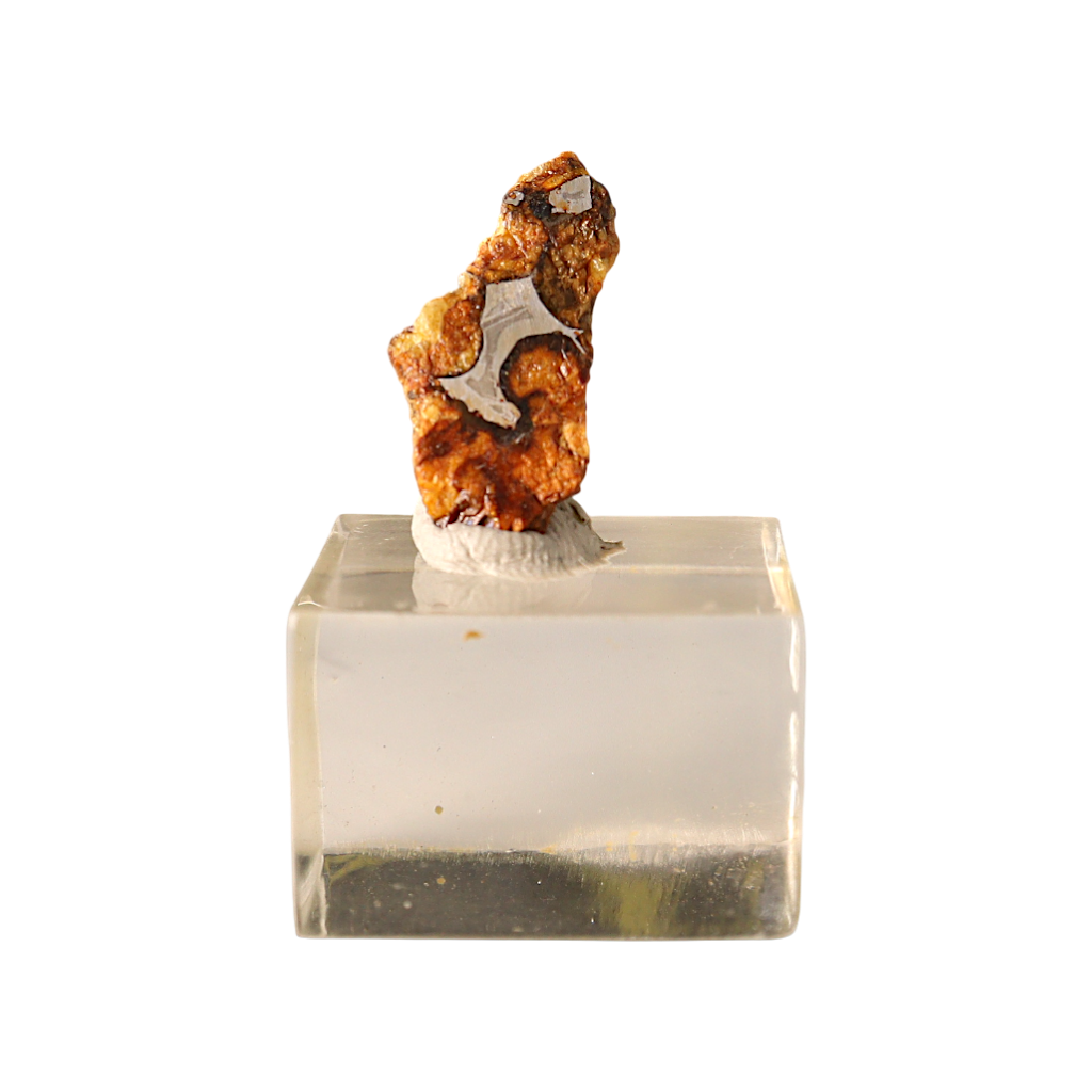 Sericho Pallasite Meteorite