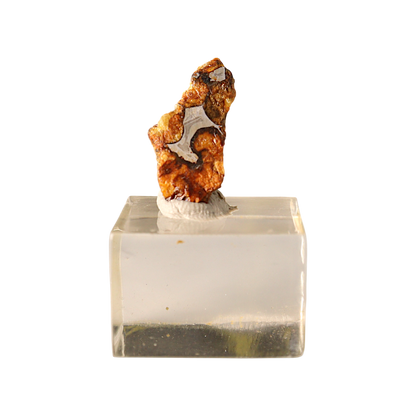 Sericho Pallasite Meteorite