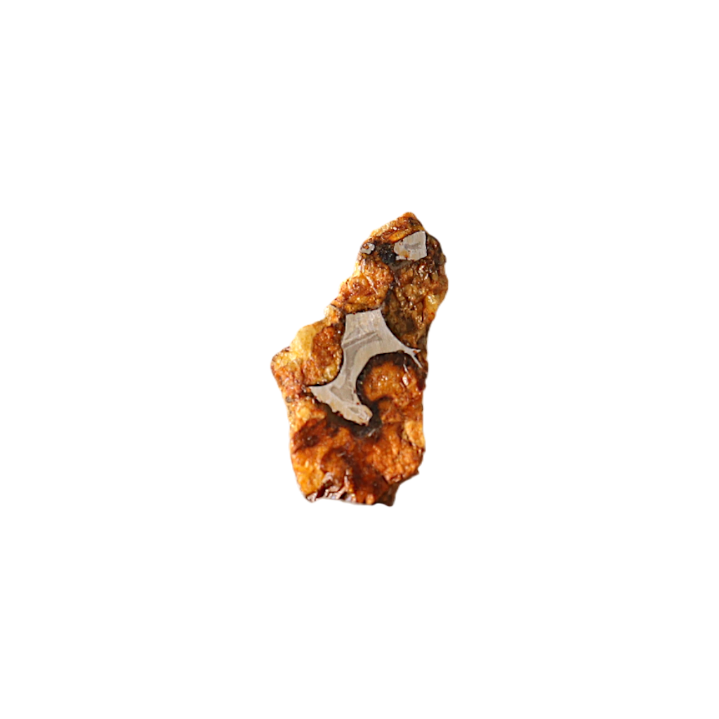 Sericho Pallasite Meteorite