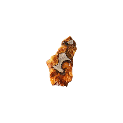 Sericho Pallasite Meteorite