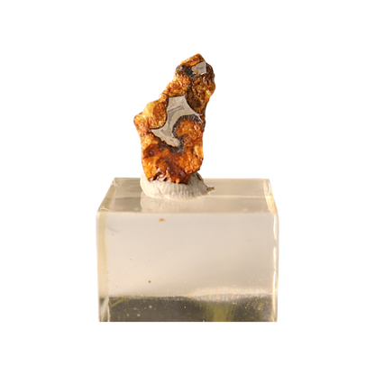 Sericho Pallasite Meteorite