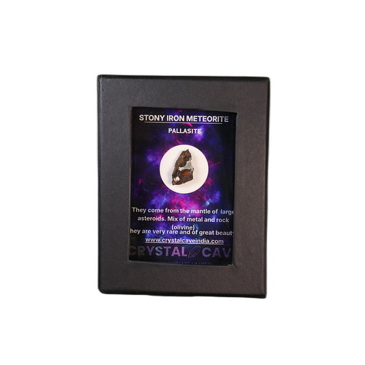 Sericho Pallasite Meteorite