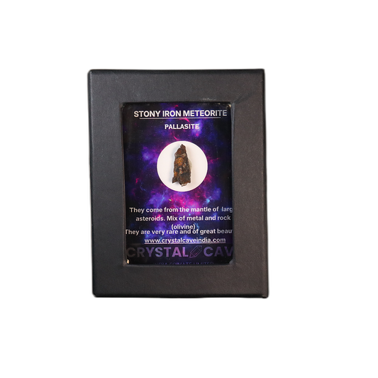 Sericho Pallasite Meteorite