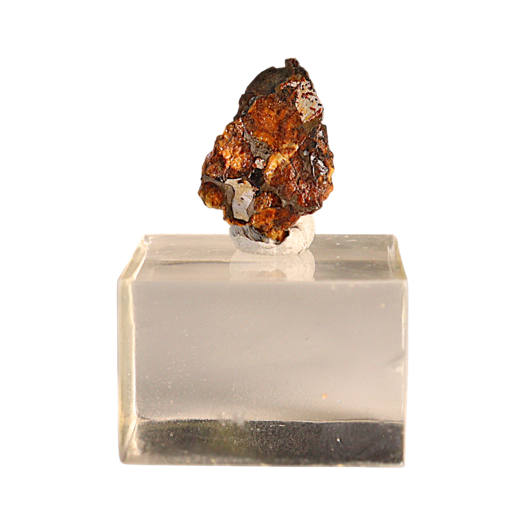 Sericho Pallasite Meteorite