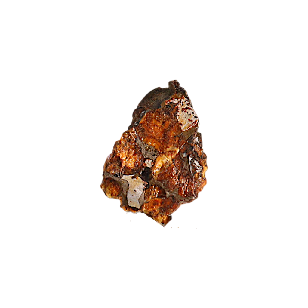 Sericho Pallasite Meteorite