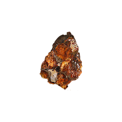 Sericho Pallasite Meteorite