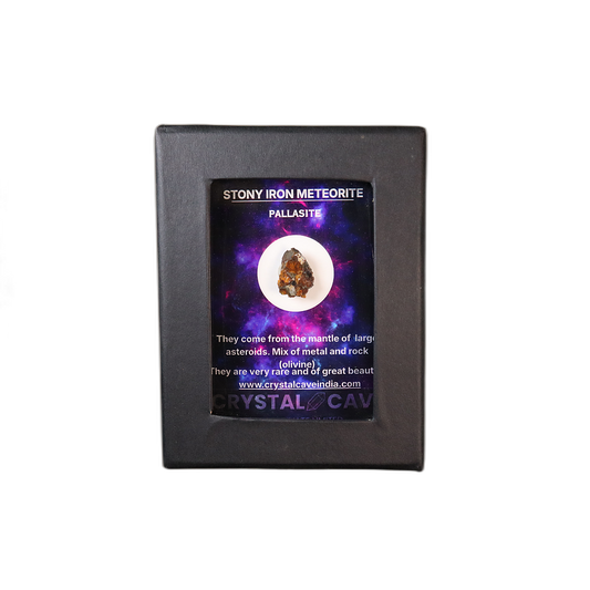 Sericho Pallasite Meteorite