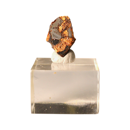 Sericho Pallasite Meteorite