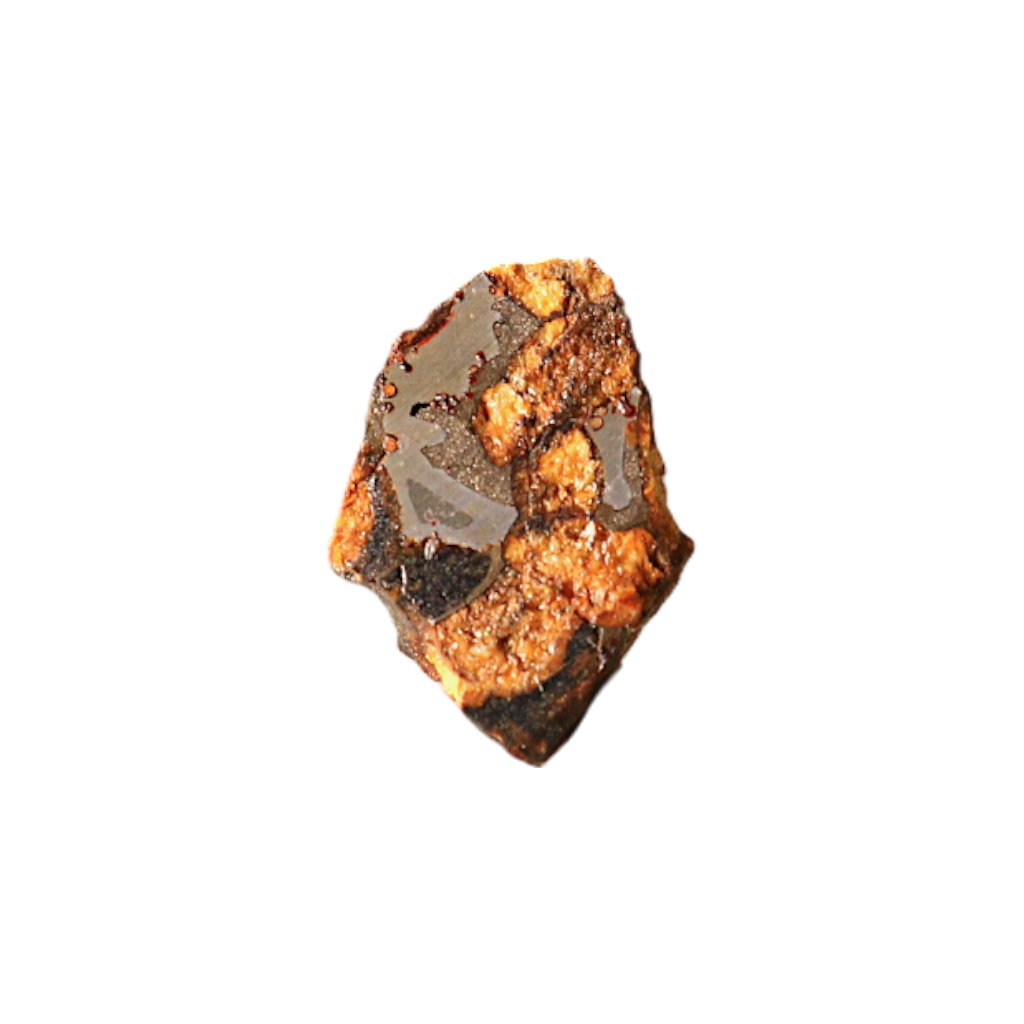 Sericho Pallasite Meteorite