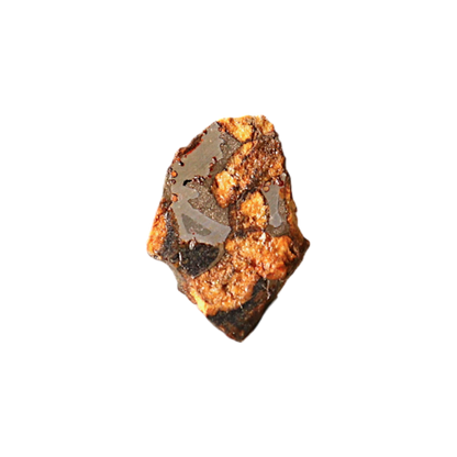 Sericho Pallasite Meteorite