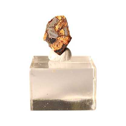 Sericho Pallasite Meteorite