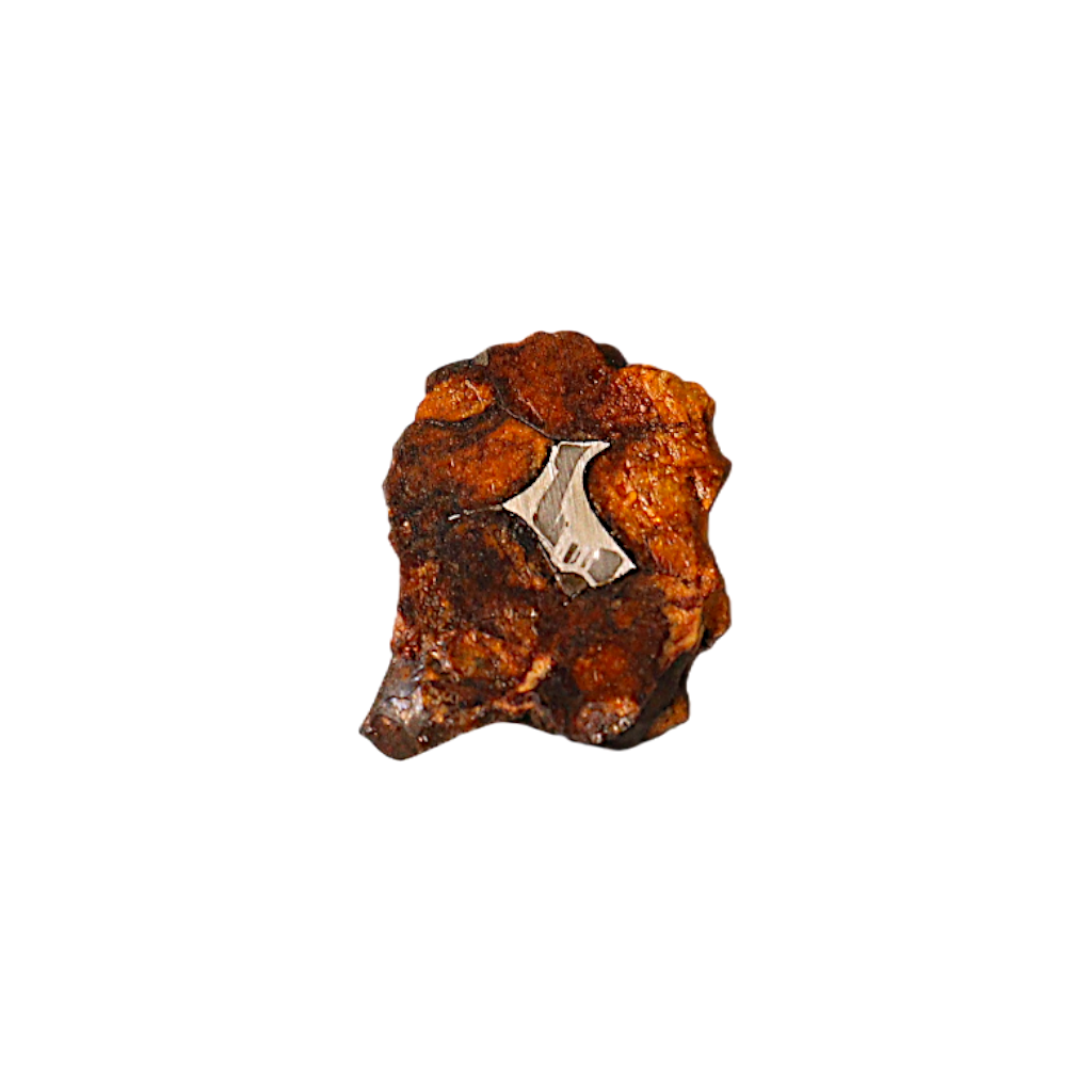 Sericho Pallasite Meteorite