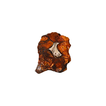 Sericho Pallasite Meteorite