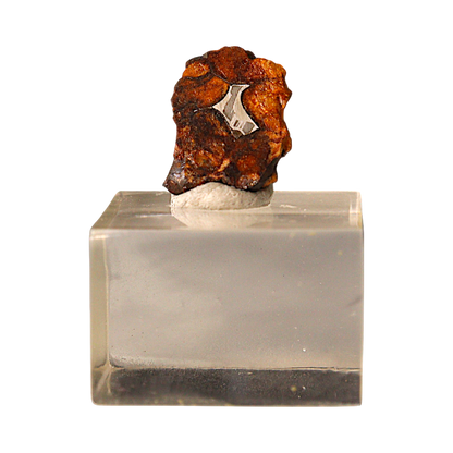 Sericho Pallasite Meteorite