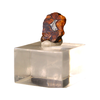 Sericho Pallasite Meteorite