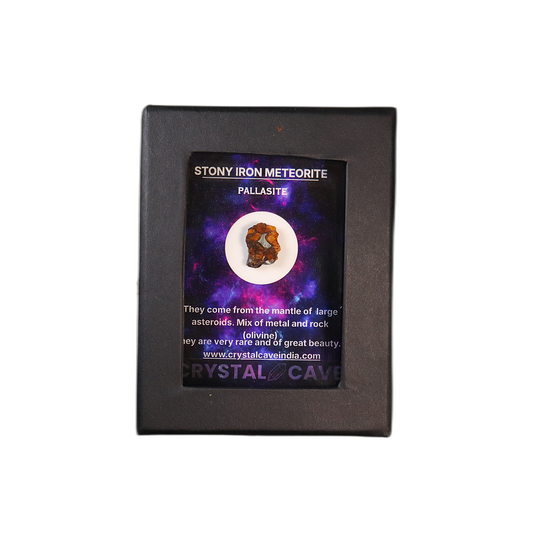 Sericho Pallasite Meteorite