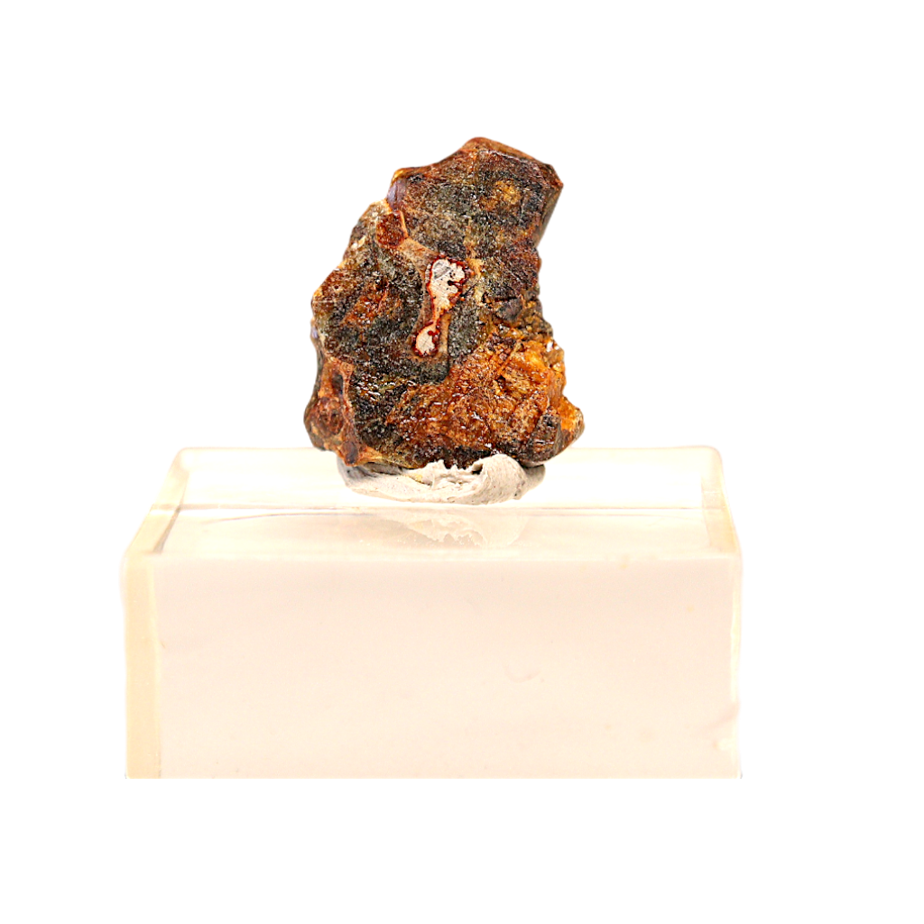 Sericho Pallasite Meteorite